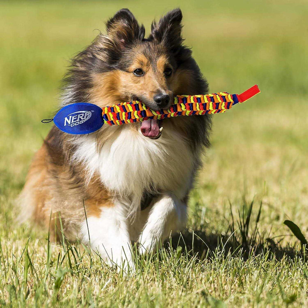 Dog Toy Q197