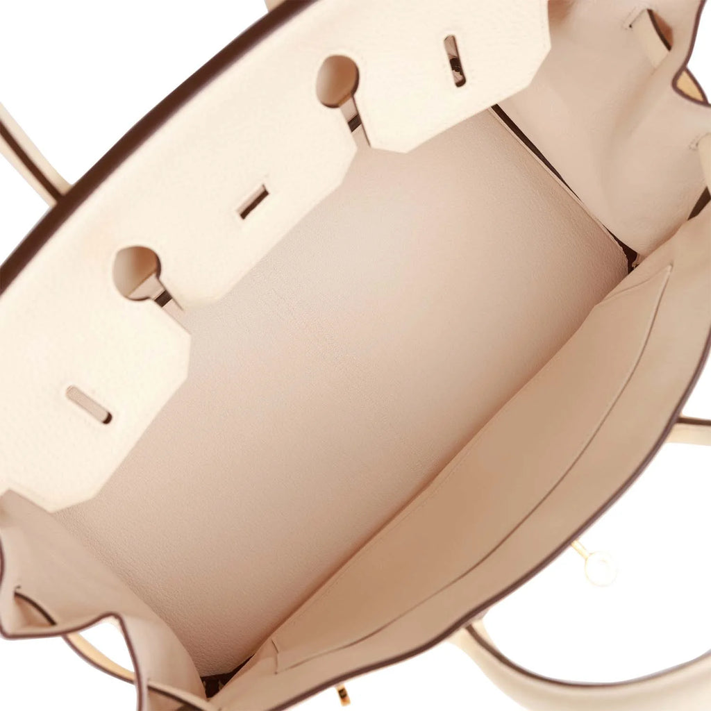 Birkin 35 Nata Clemence Gold Hardware B8168