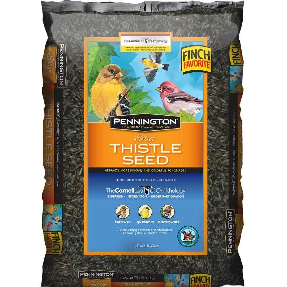 Thistle Seed Pet Supplies Y749596
