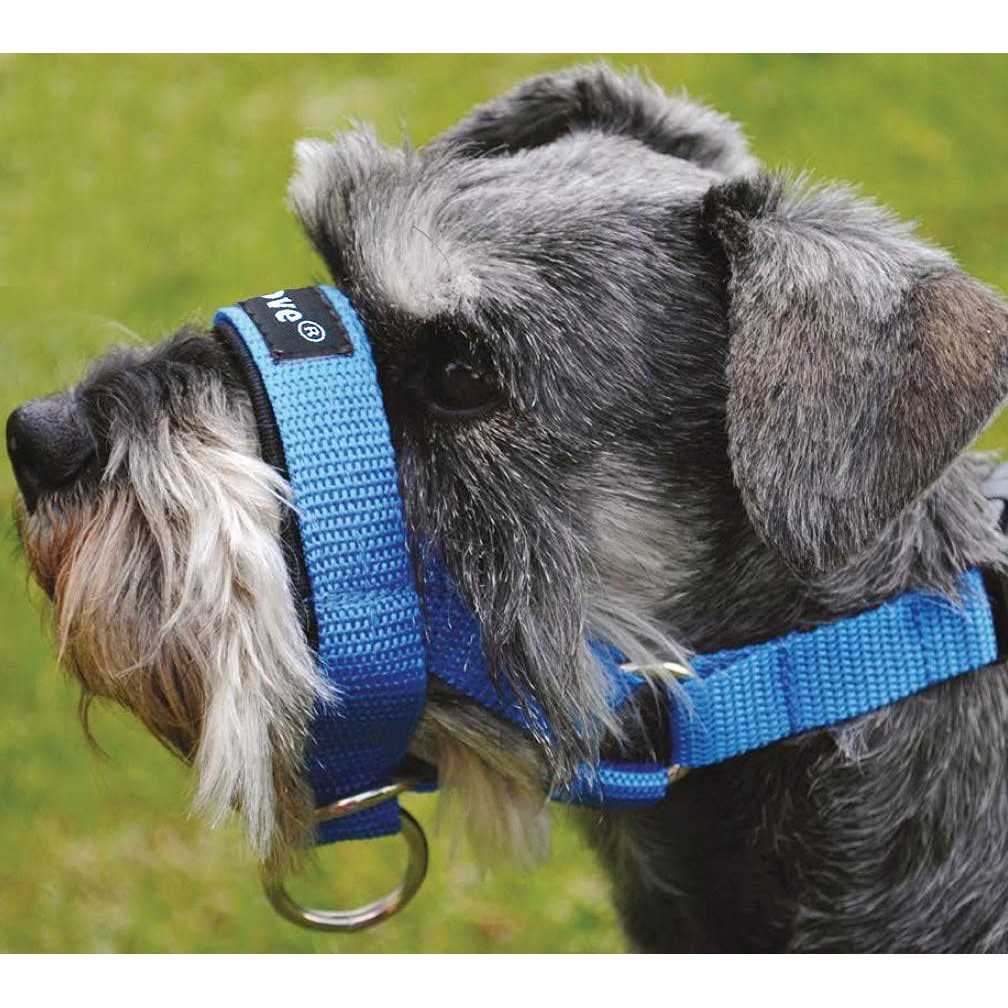 Dog Head Collar Halter V978