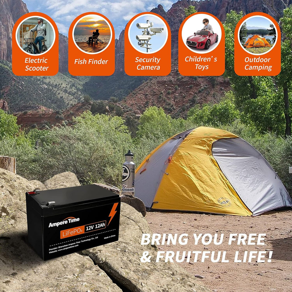 12V 12Ah Lithium Iron Phosphate Battery with Built-in 12A BMS J418325