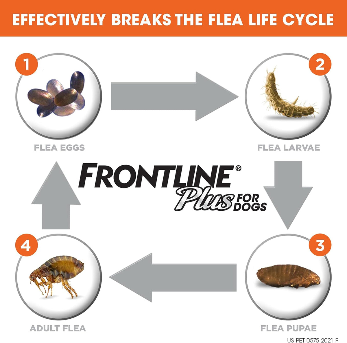 Flea and Tick Treatment for Dogs, 8 Doses K758397