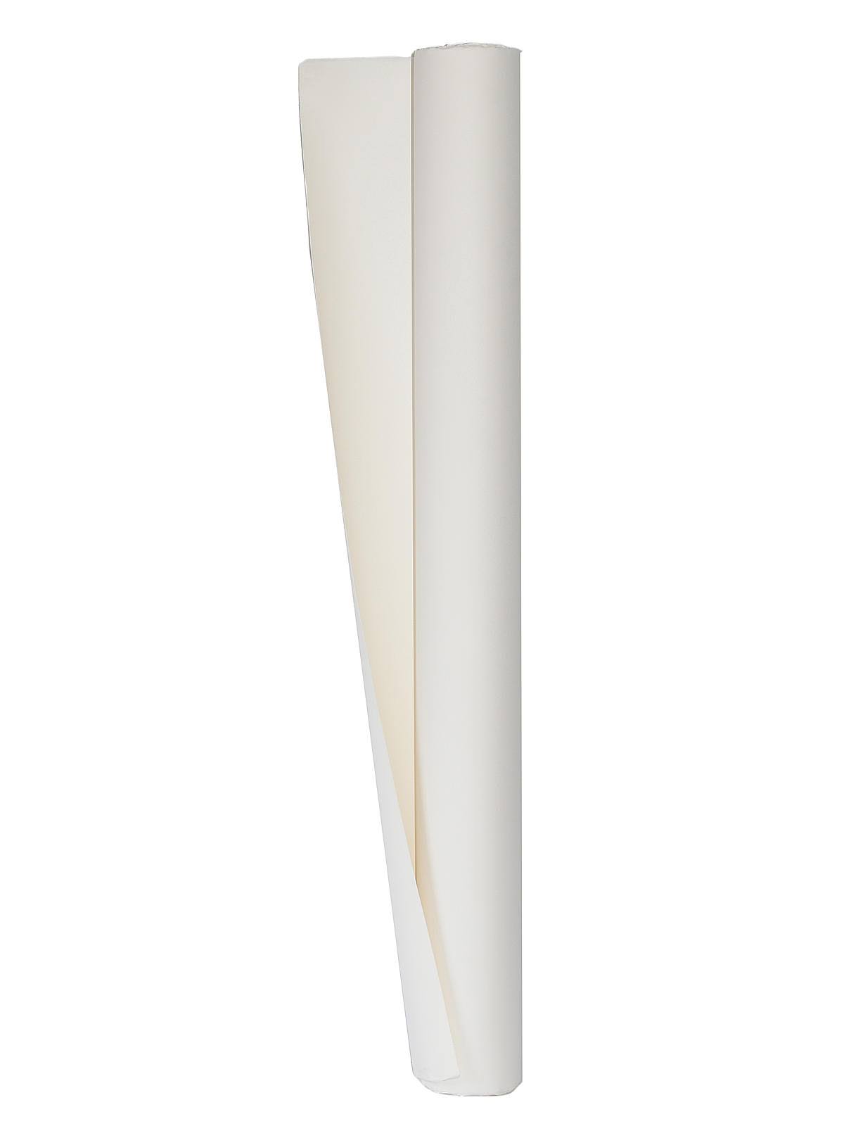 White Printmaking Paper Roll, 42x22 x 10 yd D5821