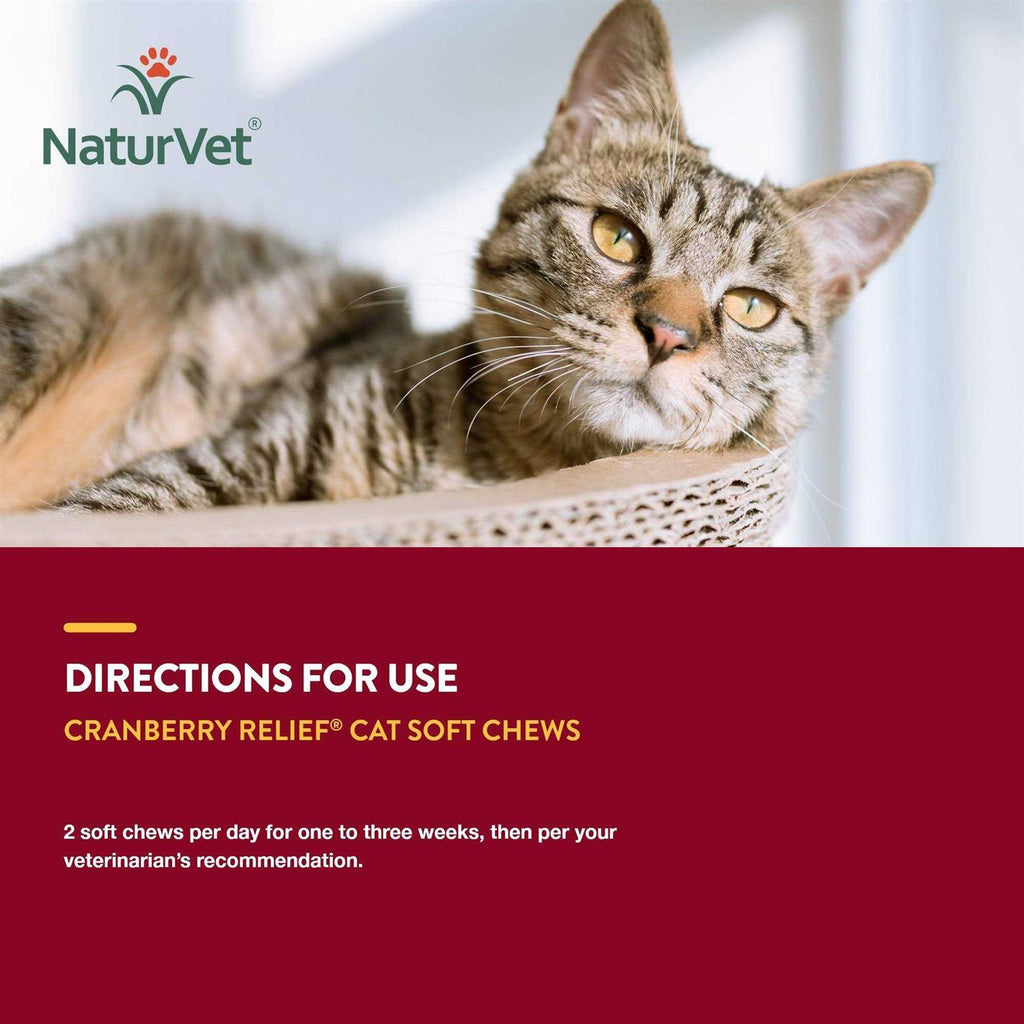 Cranberry Relief Plus Echinacea for Cats B337333